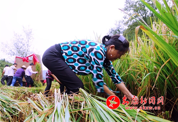 6.ڬF(xin)ֻҊ10λֳץһRĔ[“”Ҋp