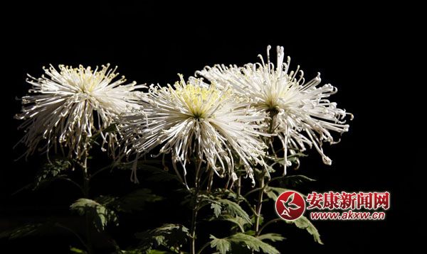 10京`ŵľջ鿶bȻһʒɪͼζɢl(f).jpg